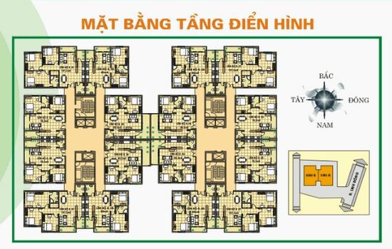 Tầng điển hình