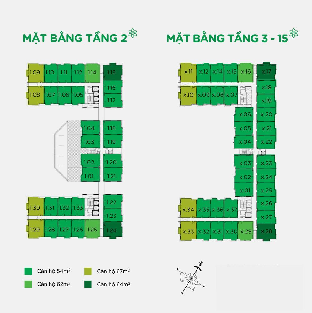 Tầng điển hình