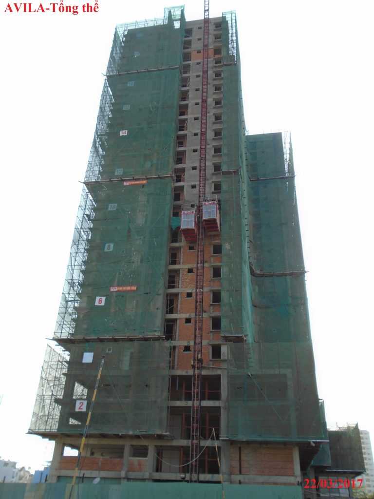 Tổng thể dự án