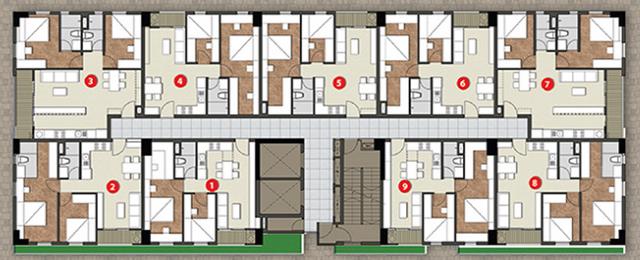 Tầng điển hình