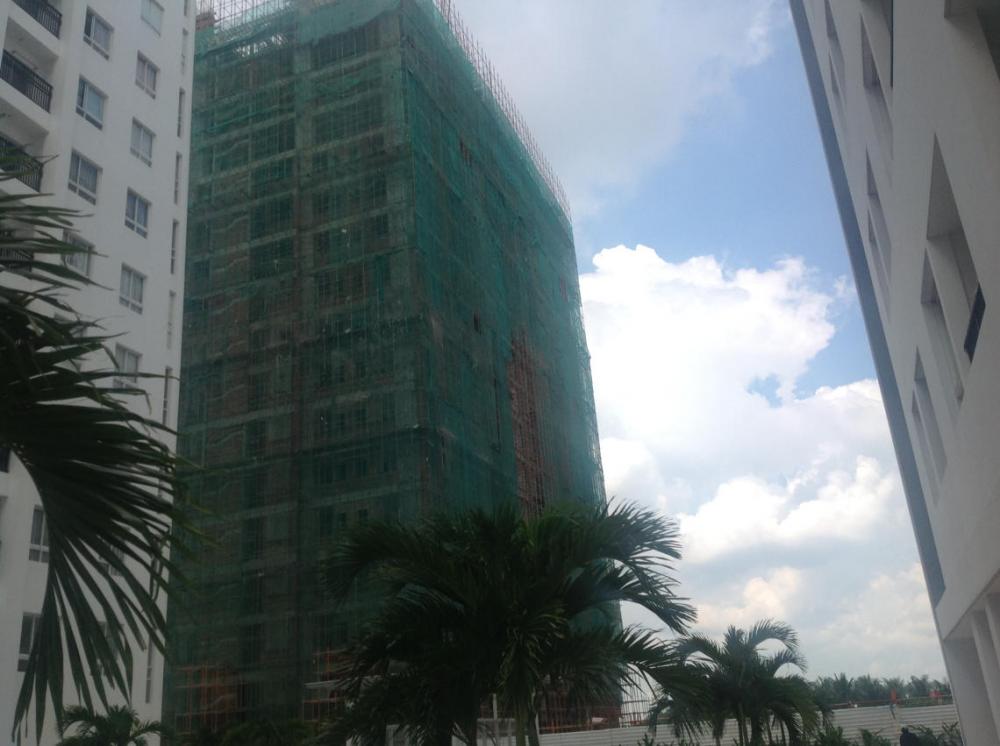 Block D Gia Vượng xây 18/20 tầng