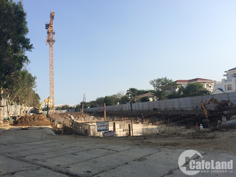 Dự án đang thi công phần móng cọc