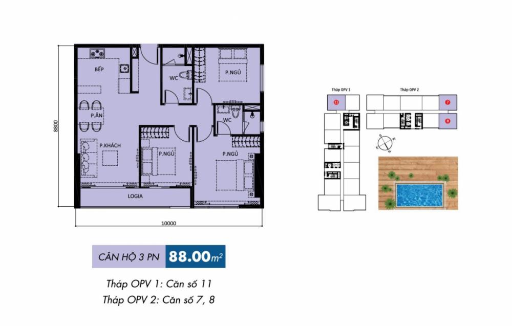 Thiết kế căn số 11