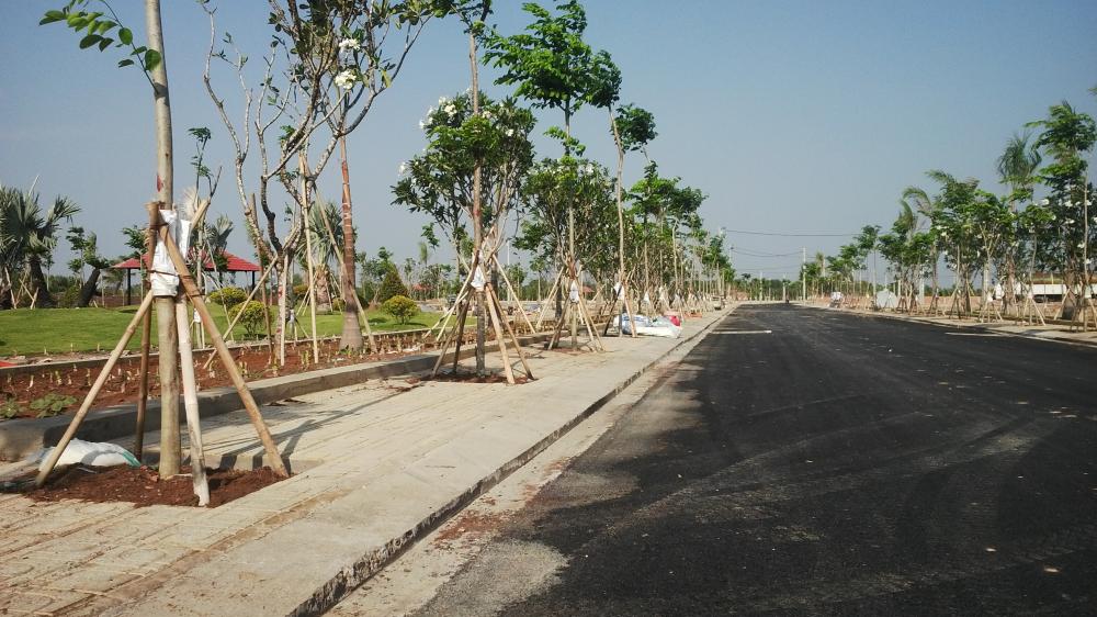 Dự án đã hoàn thiện hạ tầng