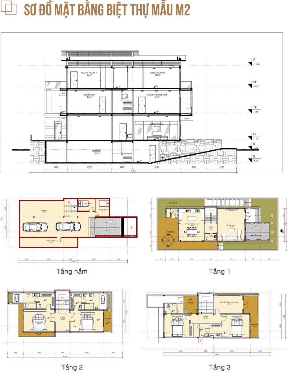Thiết kế biệt thự mẫu M2 (lô C8 - C9)