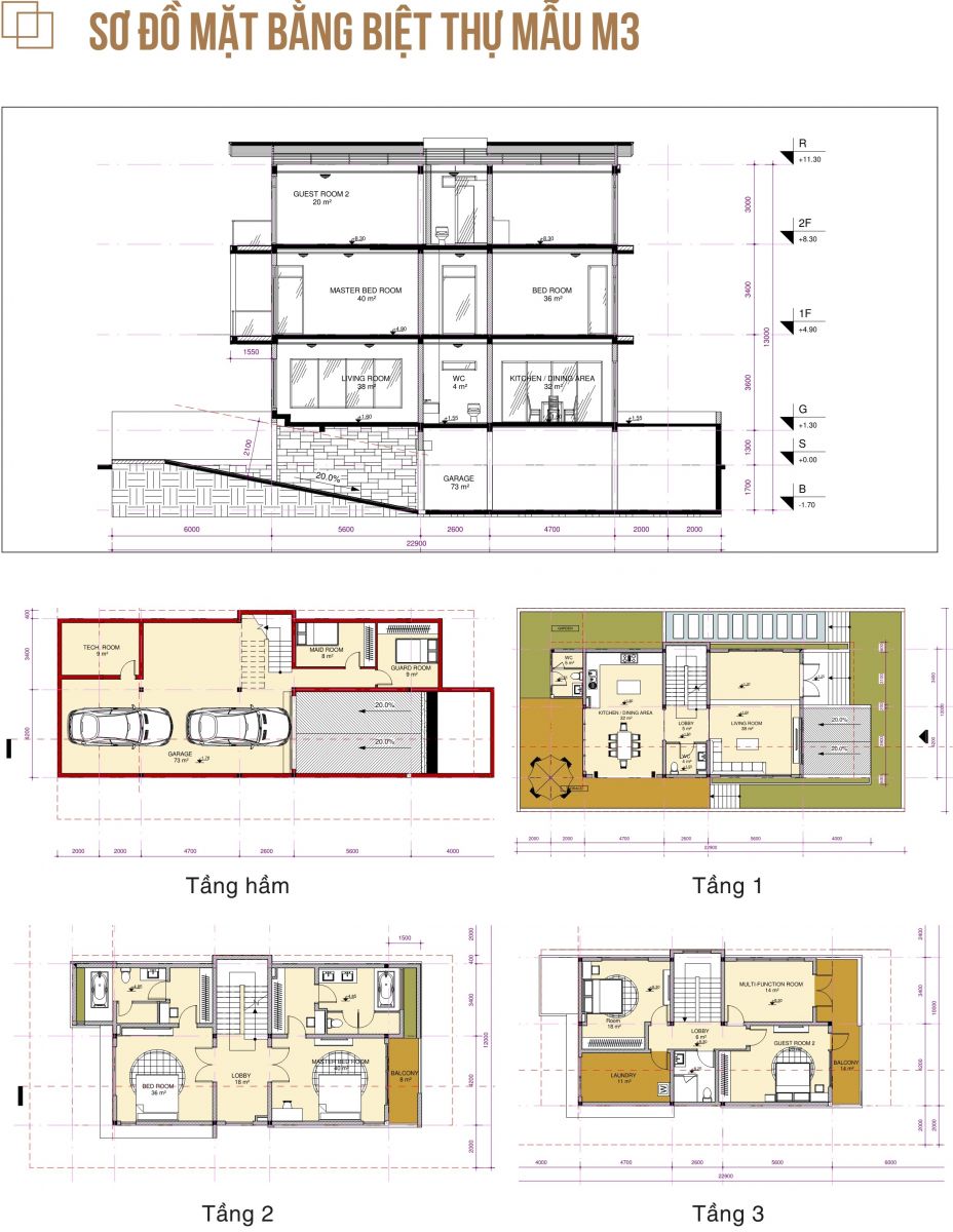 Thiết kế biệt thự mẫu M3 (lô C2 - C3 - C4 - C5)