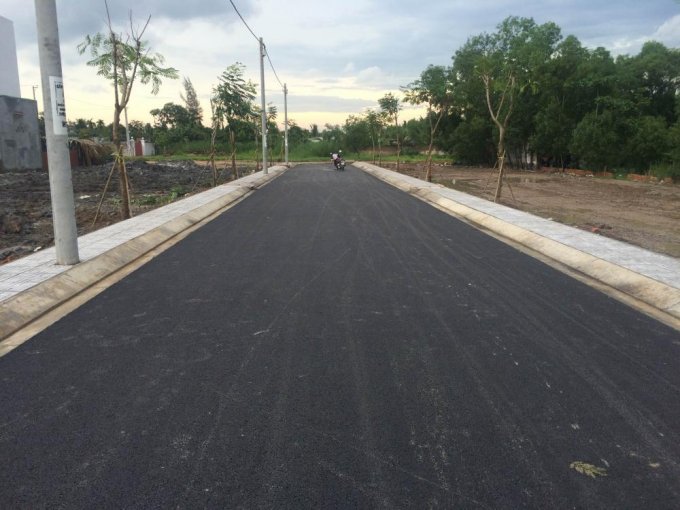 Tiến độ dự án