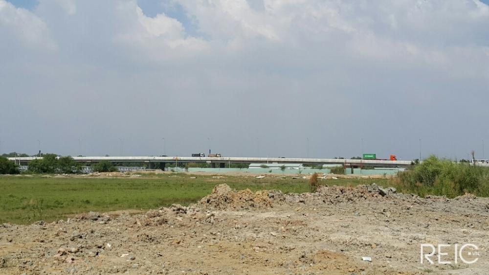 Dự án đã gần hoàn thành hạ tầng và đã đóng cọc phân lô