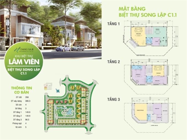 Thiết kế biệt thự C1.1