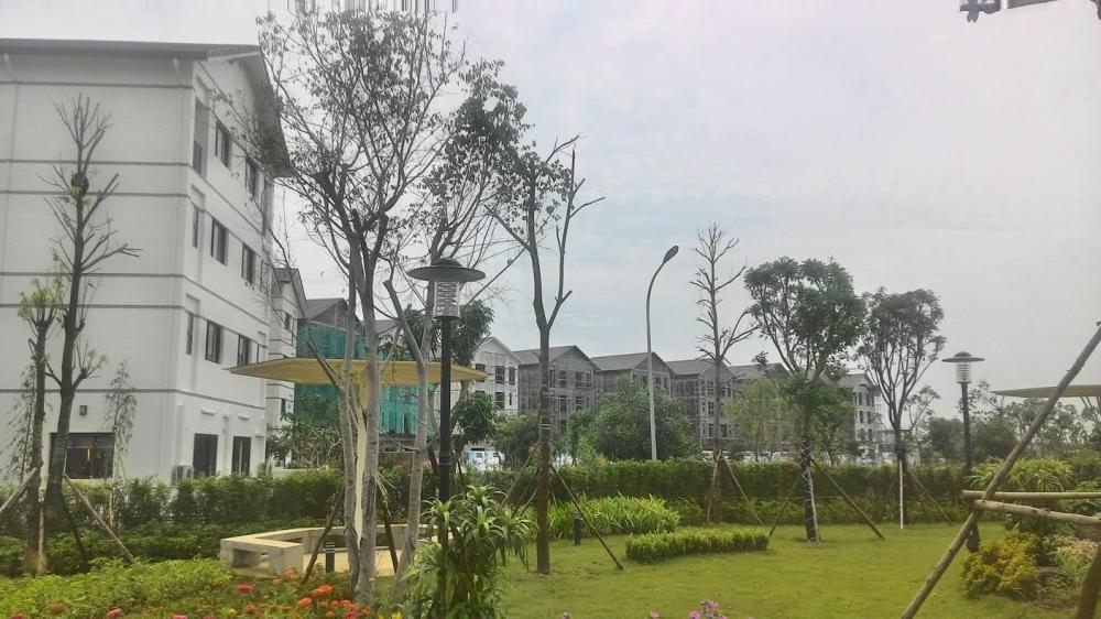 Gần 300 căn biệt thự đã xong khung cứng và cất nóc, hơn 100 căn còn lại đã xong khung cứng