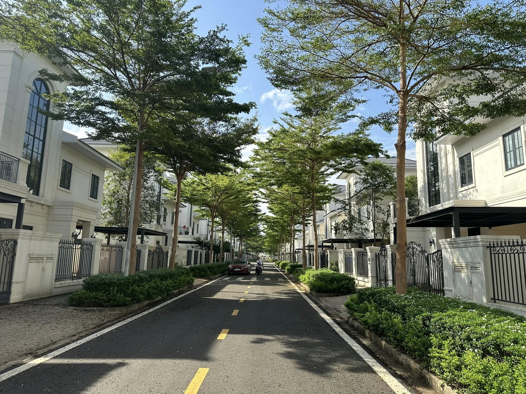 ban-swan-bay-21-6-2025 Giá mua bán nhà, biệt thự Swan Bay tháng 12/2025