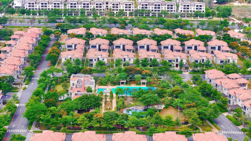 SWAN BAY: BIỂU TƯỢNG SỐNG THƯỢNG LƯU TRÊN ĐẢO TỰ NHIÊN